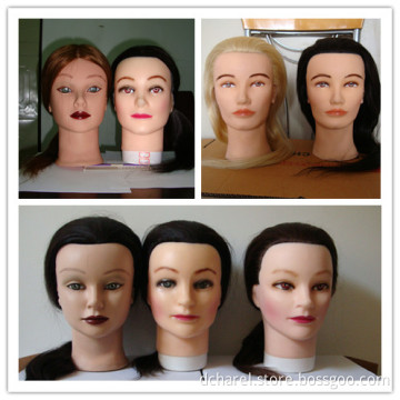 Training Head